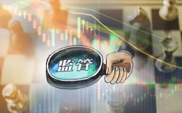 2024年监管工作总结通用8篇