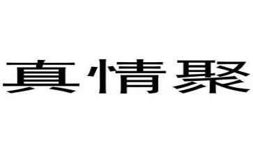 真情在人间作文6篇