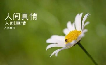 让真情流露作文600字推荐8篇