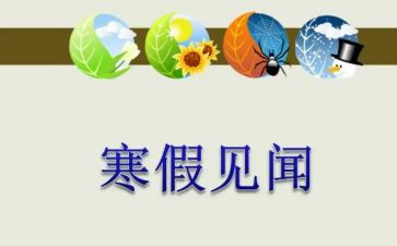 元旦见闻作文600字8篇