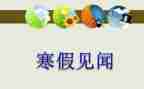 假期见闻作文通用8篇