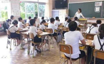 见习岗教师工作总结6篇