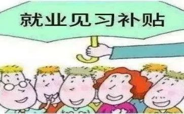 见习心得体会最新5篇