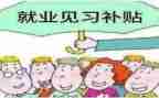 见习心得体会最新5篇