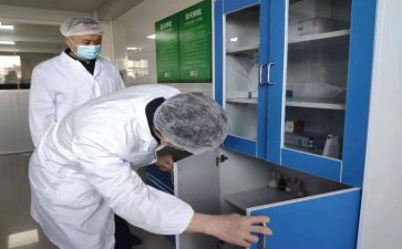检验年度工作总结优秀6篇