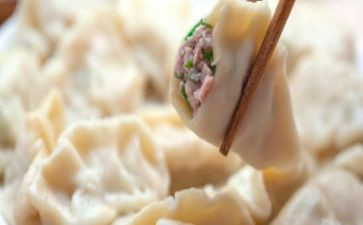 饺子作文参考8篇
