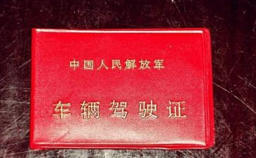 领驾照心得体会优质6篇