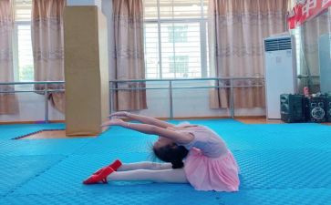教师基本工作总结7篇
