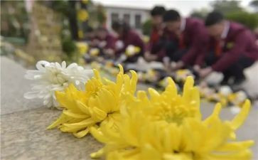 2024清明节祭奠英烈活动方案5篇
