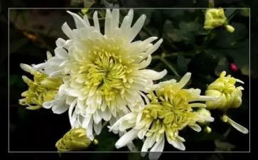 清明节祭奠先烈活动总结6篇