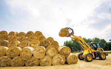 秸秆购销合同7篇