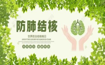 结核病工作半年总结5篇
