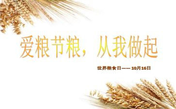 节粮活动方案6篇