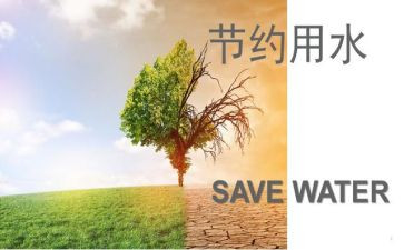 历节约演讲稿优质8篇