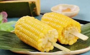 搬玉米作文8篇