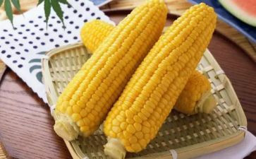 玉米皮教案7篇
