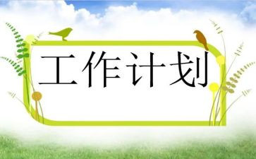 新计划员个人总结5篇