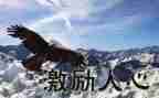 青春激励的演讲稿8篇