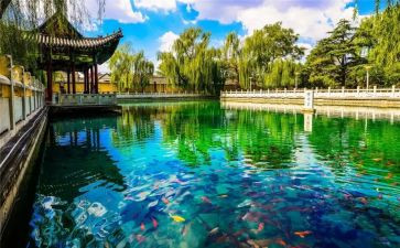 游济南动物园作文600字6篇