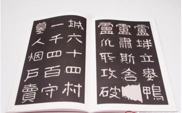 晋高职述职报告模板8篇