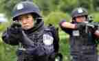 2024警察工作个人总结7篇