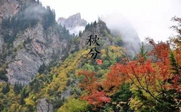 二十四节气活动方案7篇