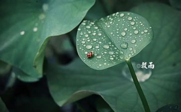 24节气策划活动方案5篇