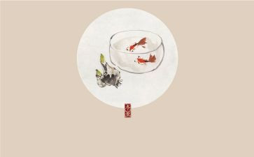 24节气的作文最新8篇