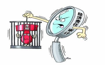 经责领导小组讲话稿5篇