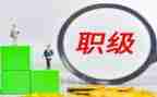 医生晋升高级职称个人述职报告6篇