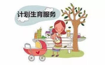 计生工作总结精选7篇