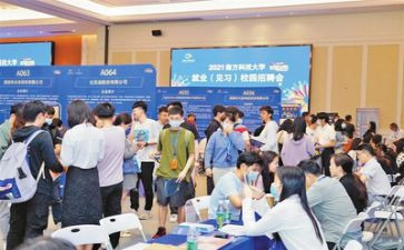 2024就业情况调查报告最新8篇