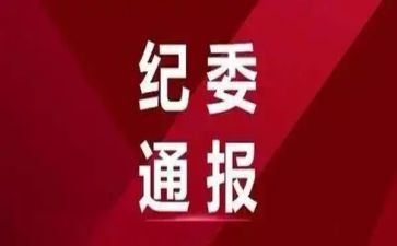 纪委组工作总结优质6篇