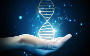 基因控制生物性状的教学反思7篇