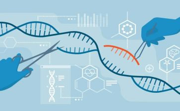 j基因控制生物的教学反思7篇