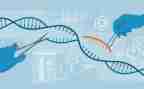 j基因控制生物的教学反思7篇