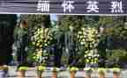 清明祭英烈,演讲稿6篇