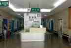 急诊护士演讲稿6篇