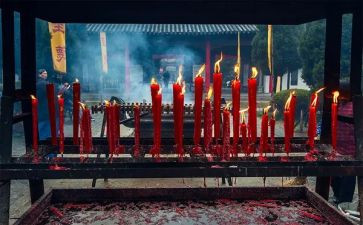 去祭祖作文通用8篇