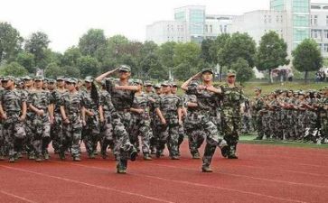 军训的心得体会500字5篇
