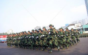 军训式培训总结8篇
