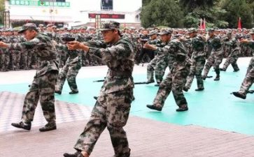 军训鉴定表的个人军训总结8篇