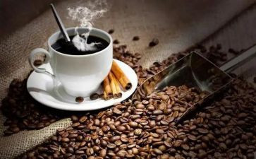 茶和咖啡的作文5篇