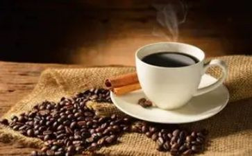 茶与咖啡作文6篇
