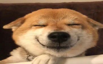 开心的一天作文300字6篇