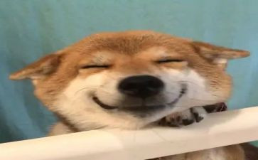 妈妈很开心的作文5篇