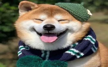 开心作文500字7篇