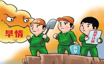 抗旱灌溉工作总结6篇