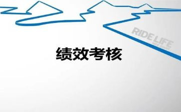 师年度考核个人总结模板8篇