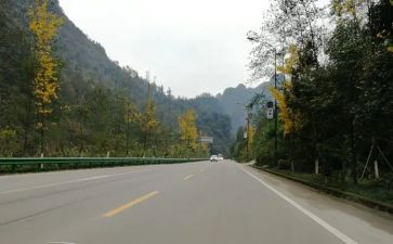 成长靠自己作文6篇